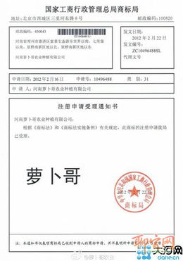 韓紅剛申請‘蘿卜哥’商標(biāo) 品牌意識(shí)覺醒之路