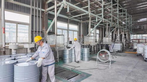 年產(chǎn)34800噸日用百貨改擴建項目9月試生產(chǎn)，助推濱海產(chǎn)業(yè)升級